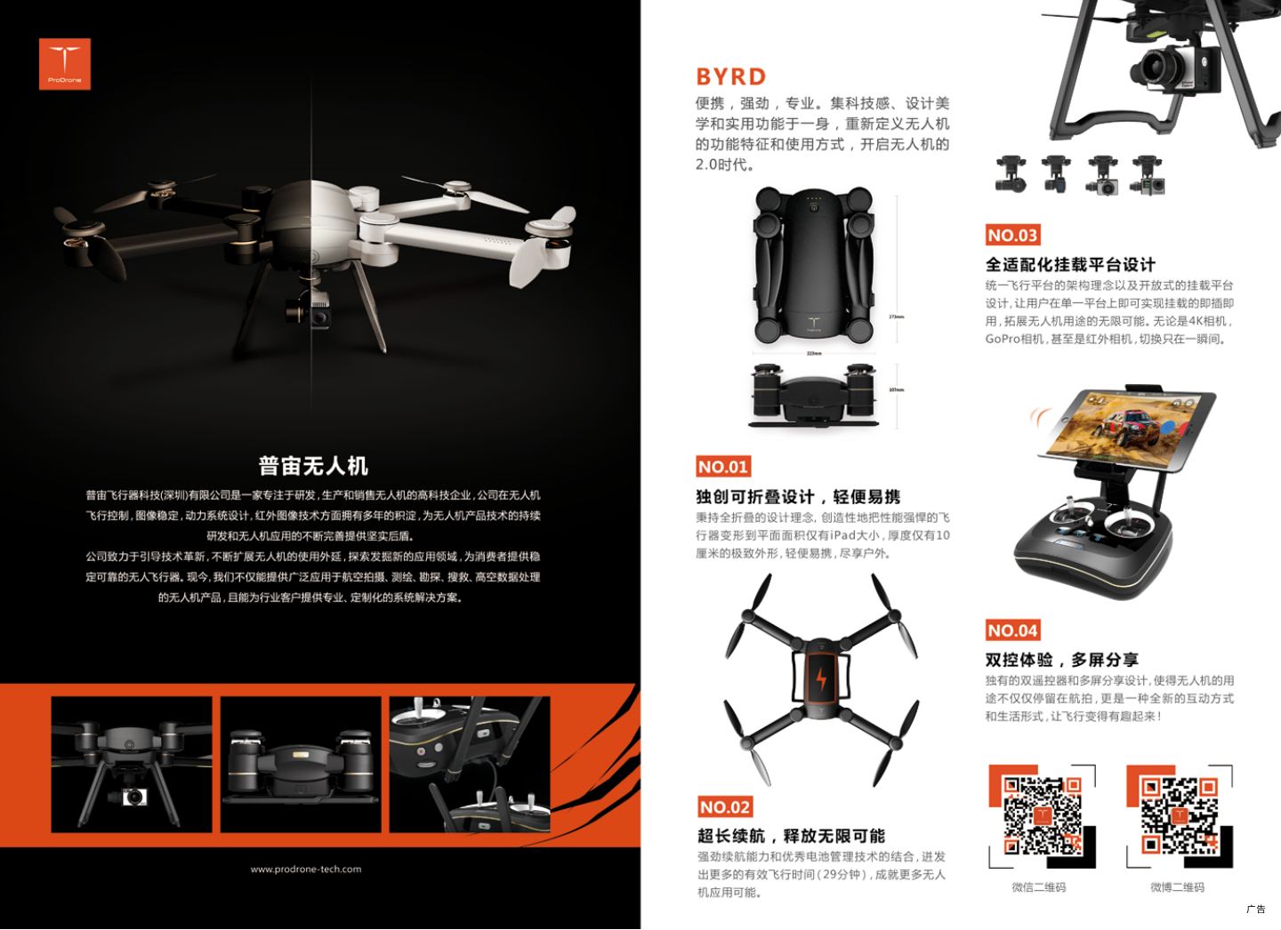 荷兰 第 7 页