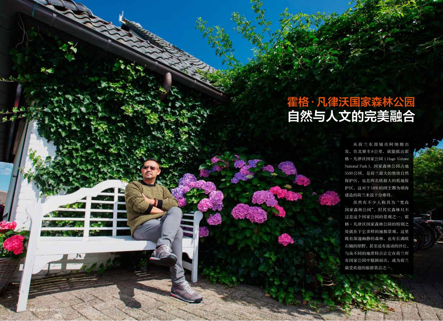 荷兰 第 9 页