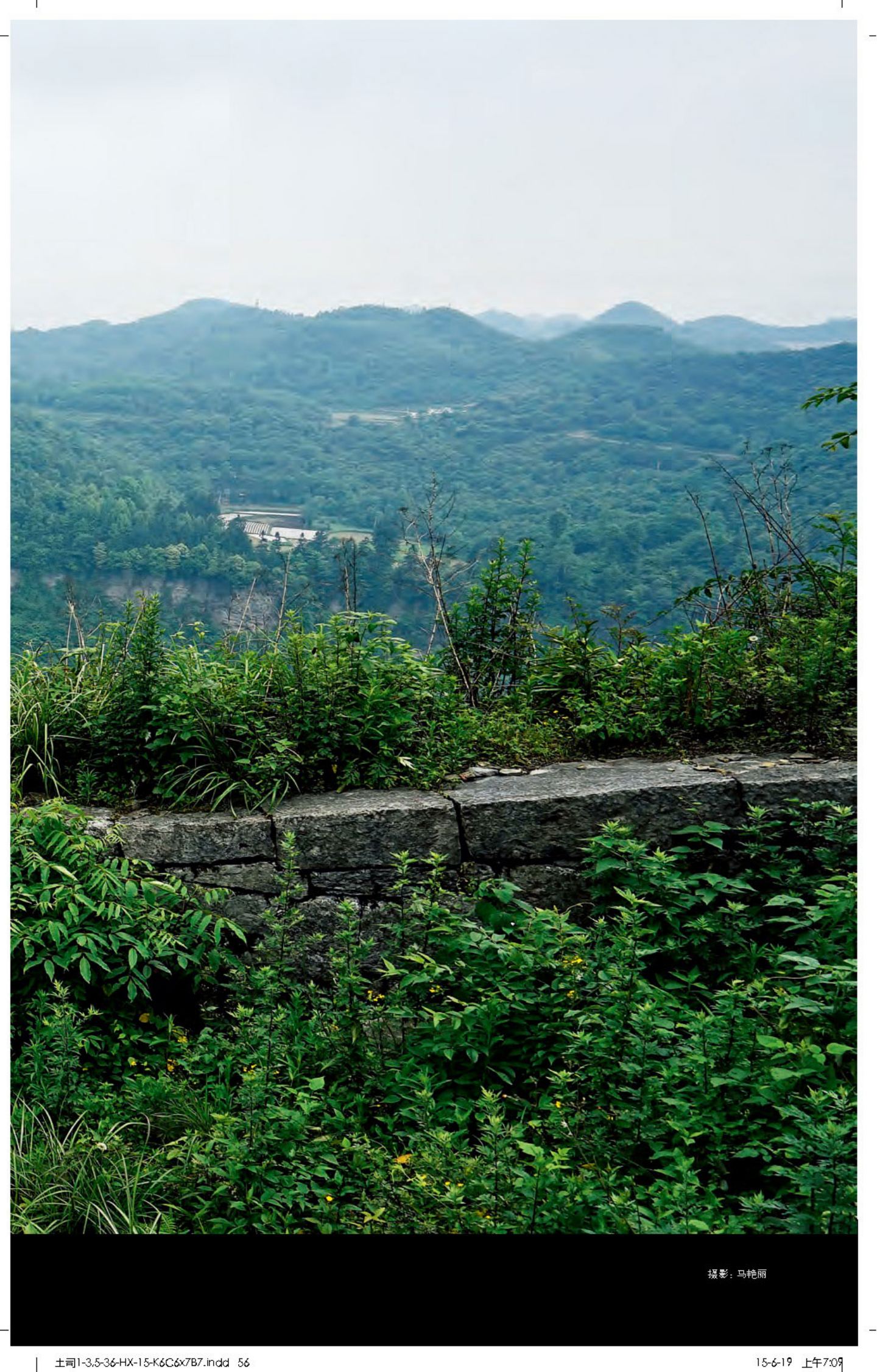 土司城 第 4 页