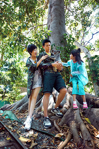 明星拍摄作品，公众人物与商业人像表达