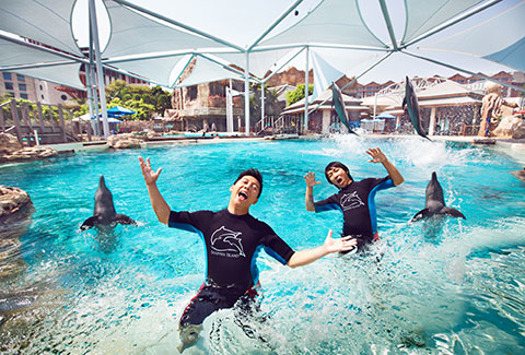 明星拍摄作品，公众人物与商业人像表达