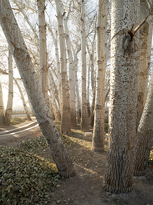 尘埃系列摄影，尘土光线与情绪氛围