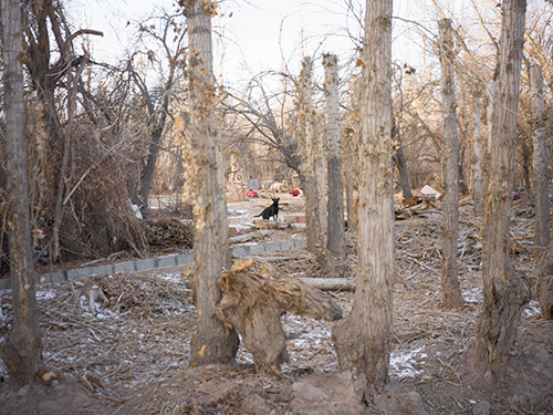 尘埃系列摄影，尘土光线与情绪氛围