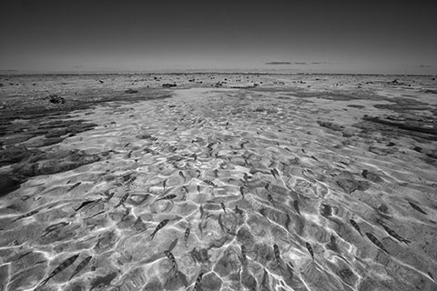 心境系列摄影，景与心的情绪对应