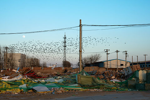 怎知是朝夕系列摄影，日常时间与生活纹理