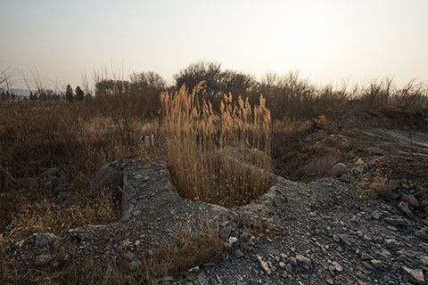 怎知是朝夕系列摄影，日常时间与生活纹理