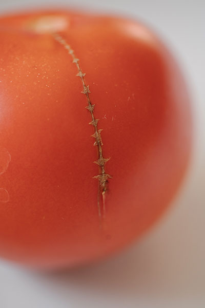 《牧心记》项目图像选页 2